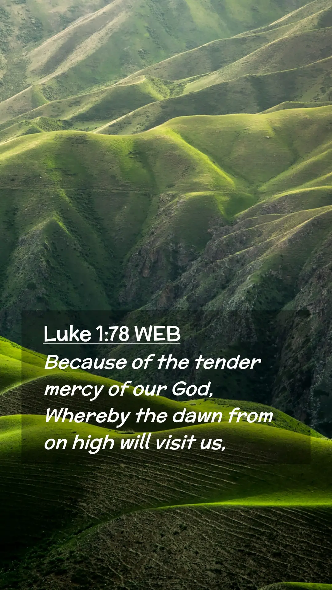 Luke 1:78-79  Meaning and Commentary